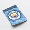 Manchester City Logo Framed Poster